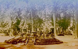 Sidi-bel-abbes 535- Jardin